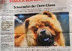 Artikel über unseren Chow-Chow Spaziergang