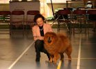 2010/12 - Topas vom Sittardsberg - Wijchen 2010