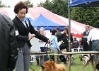 2007/06 - Claudia mit Topas vom Sittardsberg - Limburgia Hondenshow