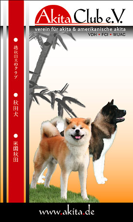 Akita