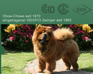 Chow-Chows seit 1970