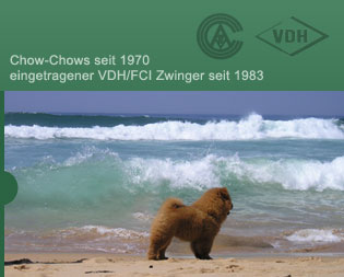 Chow-Chows seit 1970