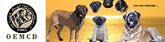 Old English Mastiff Club